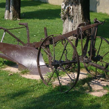 Agriturismo Le Cipressine Meolo Eksteriør billede