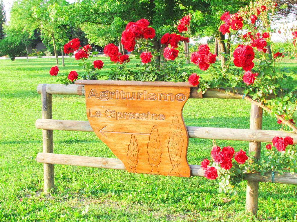Agriturismo Le Cipressine Meolo Eksteriør billede