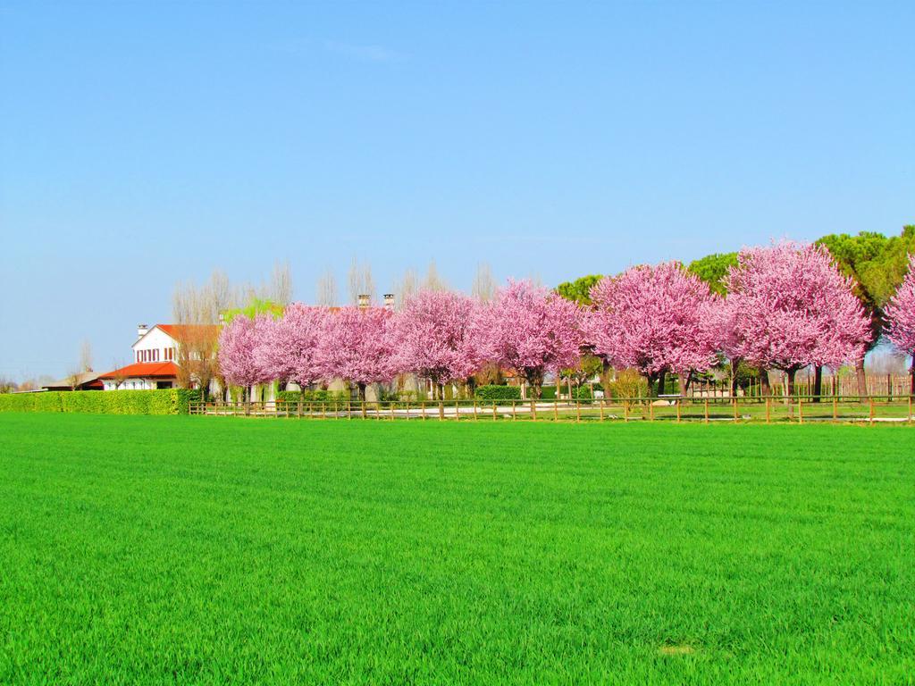 Agriturismo Le Cipressine Meolo Eksteriør billede