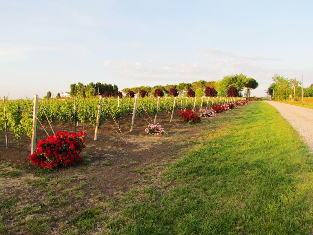 Agriturismo Le Cipressine Meolo Eksteriør billede